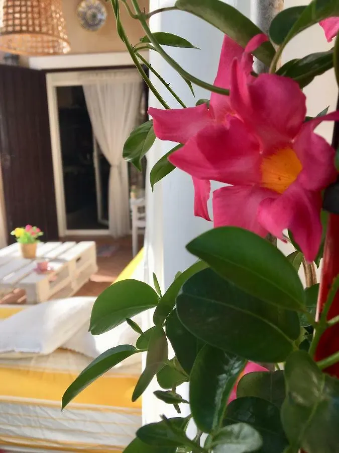 Holiday home Villa Miranda El Rompido